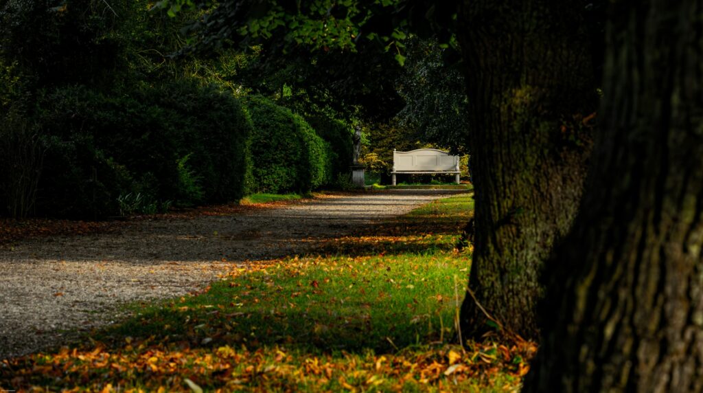 Self-Care Ideas for Mental Health and Early Recovery
